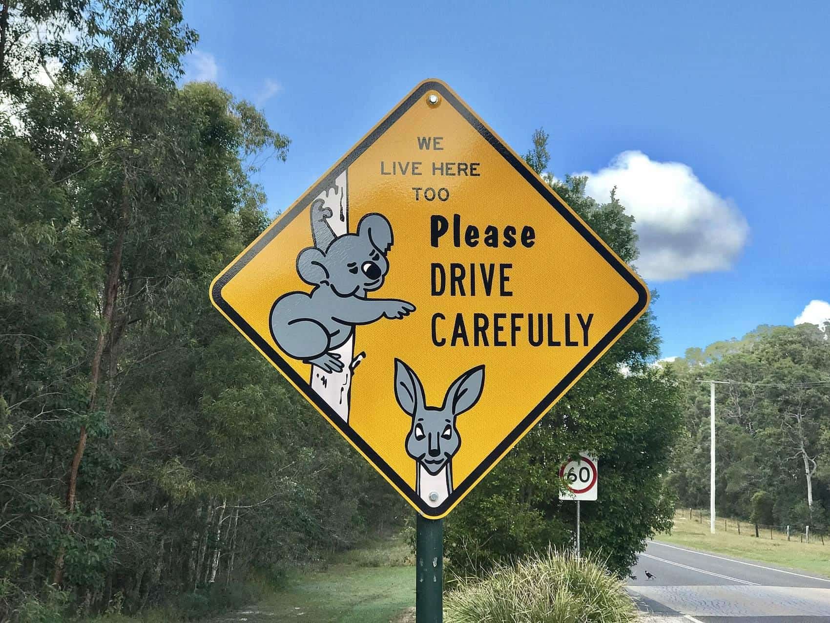 Wildlife warning road sign in Australia